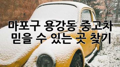 마포구 용강동 중고차, 믿을 수 있는 곳 찾기